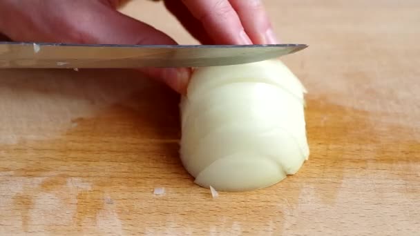 Slicing onions — Stock Video
