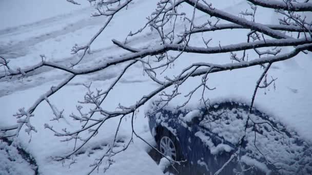 Está nevando. — Vídeo de Stock