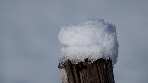 Sneeuw op hek — Stockvideo