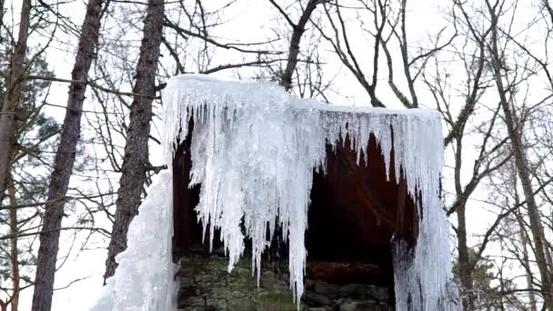 얼어붙은 폭포 국립 공원 — 비디오
