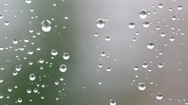 Gotas de agua en la ventana — Vídeos de Stock