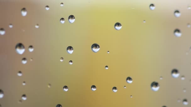 Gotas de agua en la ventana — Vídeo de stock