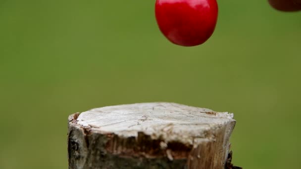 Cereza en una tabla de madera — Vídeos de Stock