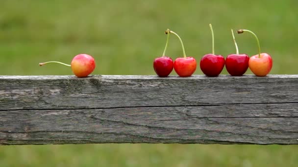 Cerejas vermelhas em uma tábua de madeira — Vídeo de Stock