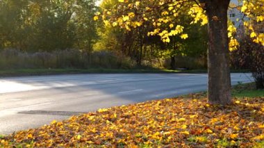 Sonbahar hava ve yol