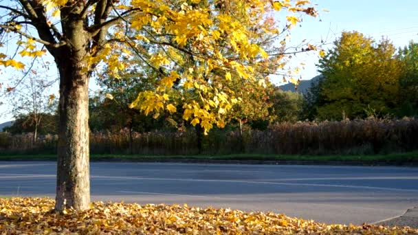 Осенняя погода и дорога — стоковое видео