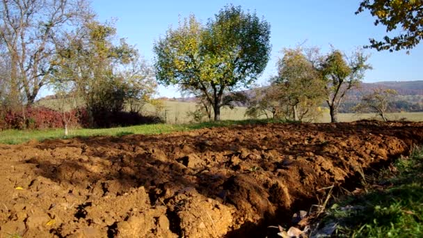 Plowed land in autumn — Stock Video