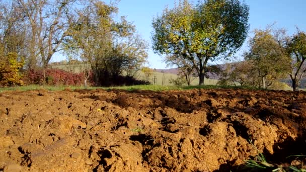 Ackerland im Herbst gepflügt — Stockvideo