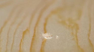 bir tahtaya vidalı vida