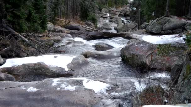 Cascades de Studeny potok dans les montagnes des Hautes Tatras — Video