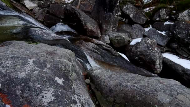 Cascades de Studeny potok dans les montagnes des Hautes Tatras — Video