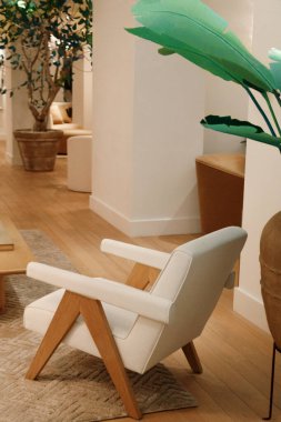 Sıcak, minimalist bir iç mekâna yerleştirilmiş tahta bacaklı modern beyaz koltuk. Oturma odası lobisi ya da sergi salonu iç tasarımı ve yaşam tarzı kavramları için şık oturma mobilyaları.