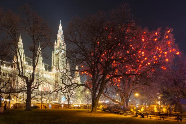 Het stadhuis van Wenen in de Winter Stockafbeelding