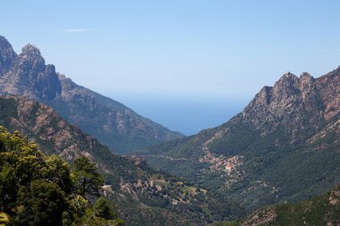 Besleniyormuş de Spelunca, Evisa, Corsica, Fransa
