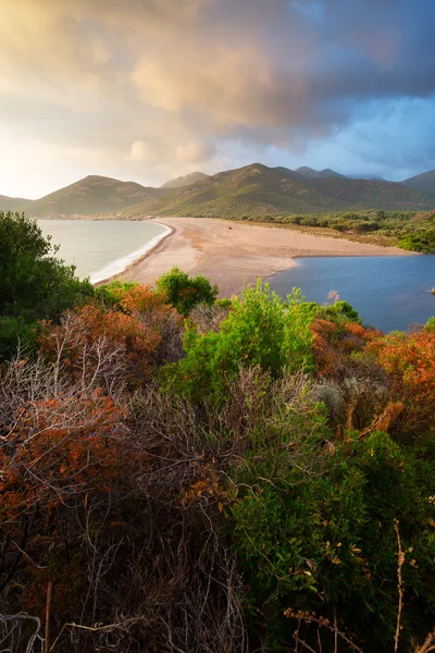 Fango Delta Corsica, Fransa için