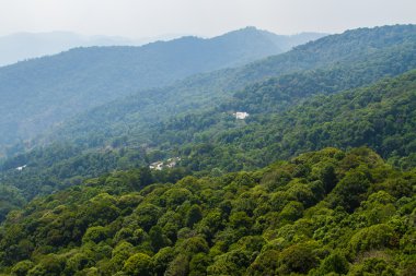 Dağ tepeleri ormanlarla kaplı. Ağaçları tepelerde brokoli gibi görünüyorsun. Sis ve hava perspektif bir göz mesafe içine sunuyoruz. Küçük bir köy uzakta görünür. Tayland, Chiang Mai, Doi Suthep bakış açısı