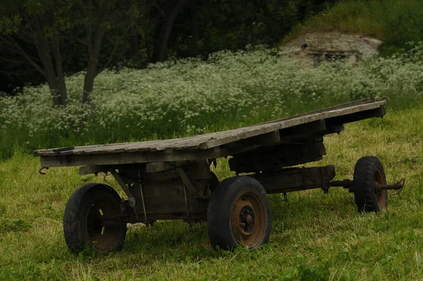 Old Carriage Rusty Wheels Background Nature Greenery — Stock Photo, Image