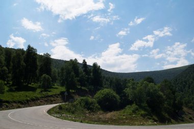Dağ manzarası. Kuzey Kafkasya Dağları Yazın