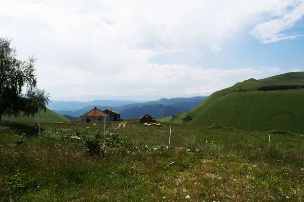 Vista Montaña Montañas Del Cáucaso Norte Verano —  Fotos de Stock