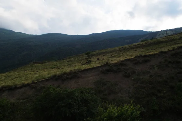 Вид Горы Северного Кавказа Горы Облаках Летом — стоковое фото