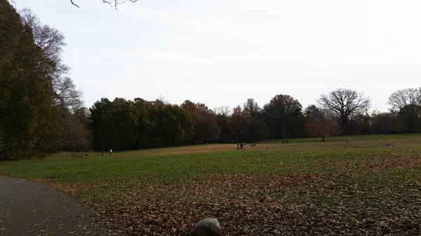 秋のブルックリン公園 秋の公園内の木 — ストック写真