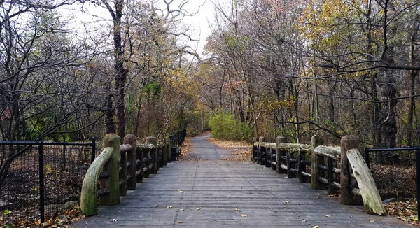 Brooklyn Park Podzim Stromy Parku Podzim Most Přes Řeku — Stock fotografie
