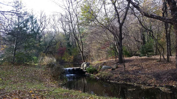 Brooklyn Park Jesienią Drzewa Parku Jesienią Most Nad Rzeką — Zdjęcie stockowe