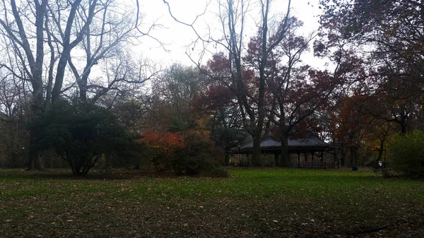 秋のブルックリン公園 秋の公園内の木 — ストック写真