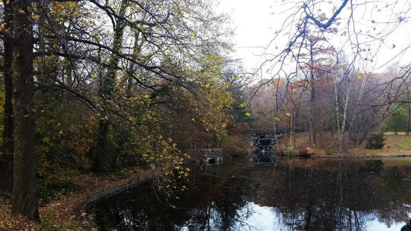 秋のブルックリン公園 秋の公園の木 川にかかる橋 — ストック写真