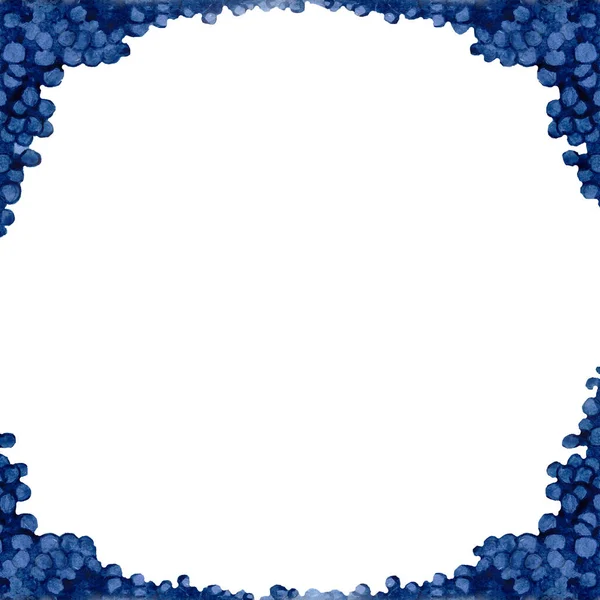 Blue Grape Bluberries Frame White Background — Stock Photo, Image