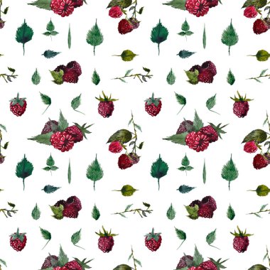 izole suluboya böğürtlen, ahududu, yeşil yapraklar, dallar seti, beyaz arka planda pürüzsüz desen, tekstil için,