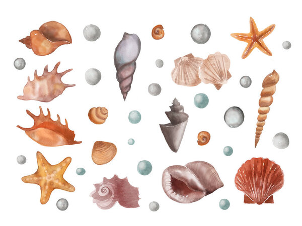 Watercolor set of isolated marine objects, shells and pearl, starfish, bubbles on a white background