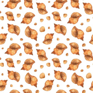 Sulu boyalı deniz cisimleriyle kusursuz desen, beyaz arka planda turuncu kahverengi deniz kabukları.