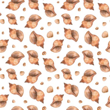 Beyaz zemin üzerinde bej, pastel kahverengi, turuncu deniz kabukları olan dikişsiz suluboya desenler.