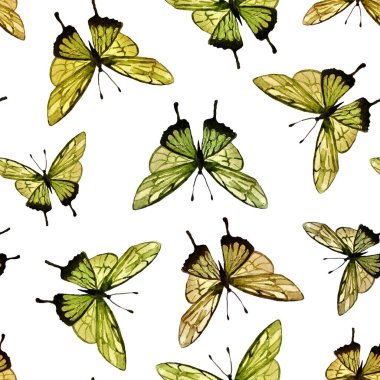 Beyaz arka planda parlak yeşil kelebeklerle sulu boya deseni