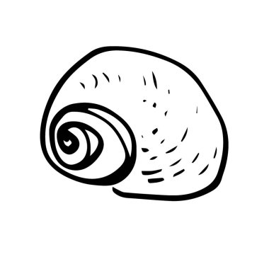 Karalama deniz nesnesi, beyaz arka planda deniz kabuğunun çizgi sanat simgesi