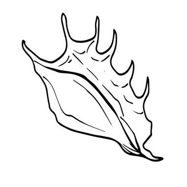 Karalama deniz nesnesi, beyaz arka planda deniz kabuğunun çizgi sanat simgesi