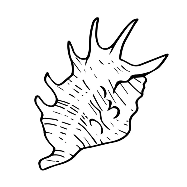 Каракулі Морський Єкт Лінійний Мистецький Значок Черепашки Білому Тлі — стокове фото