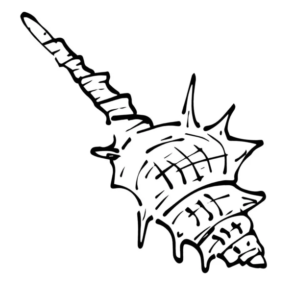 Doodle Marine Object Line Art Icon Seashell White Background — ストック写真