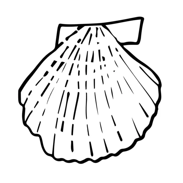 Doodle Marine Object Line Art Icon Seashell White Background — ストック写真