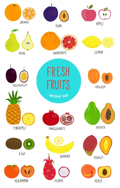 Fruits set - illustration. — Stock Vector