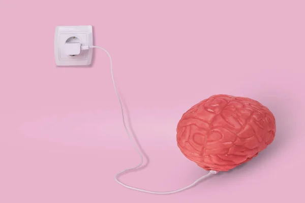 Creatief Idee Gemaakt Van Menselijke Hersenen Power Charger Opladen Voor — Stockfoto