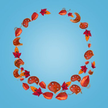 Yaratıcı asgari sonbahar geçmişi. Sonbahar yaprakları ve dilimlenmiş balkabağı daire şeklinde, çerçeve şeklinde sıralanmış. Boşluğu kopyala.