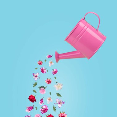Renkli yaz çiçekleri ve pastel mavi arka planda yeşil yapraklarla pembe su kutusundan yapılmış yaratıcı minimal bir fikir. Reklam fikri. Asgari doğa kavramı 