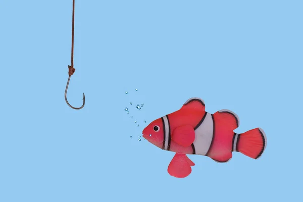 创意最小的想法鱼质疑地看着一个鱼钩 战略概念 适用于商业 广告等行业 复制空间 — 图库照片