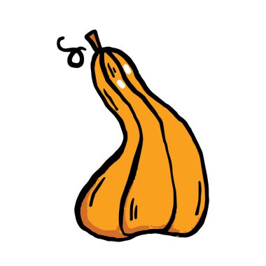 Kabak el çizimi vektör klipsi sanatı.