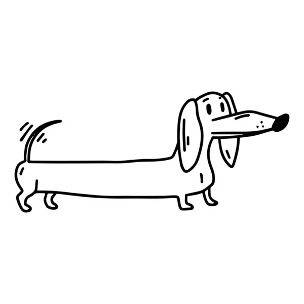 Dachshund Lindo Perro Colorear Icono Doodle Ilustración Vectorial Perro Elemento — Vector de stock