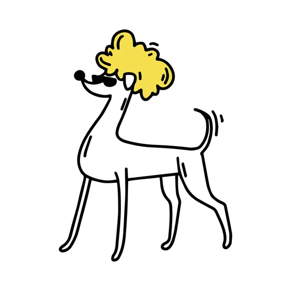 Italiensk Greyhound Hund Pudel Med Trendig Frisyr Modehund Solglasögon Doodle — Stock vektor