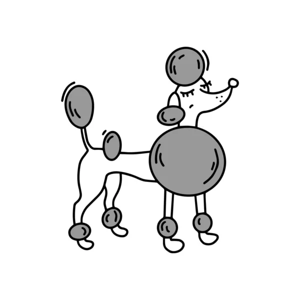 Ilustração Poodle Com Corte Cabelo Continental Preparação Cães Ícone Doodle —  Vetores de Stock