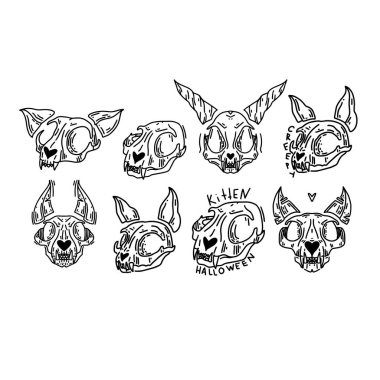 Bir kedinin kafatası. Cadılar Bayramı 'nda. Ayin için bir araç. Esrarengiz büyücülük.